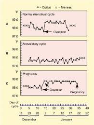 Basal Body Temperature Chart My Lovely Baby Bump Basal