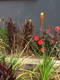 Maybe you would like to learn more about one of these? How To Create A Brilliant Exotic Garden In A Cool Climate The Middle Sized Garden Gardening Blog