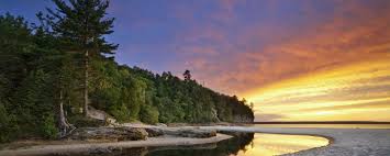 Staff can answer questions about health. Michigan Health Insurance 2021 Coverage Guide Smartfinancial