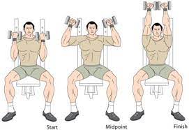 Working all three heads of the deltoid muscles, the arnold press is a fantastic. Arnold Press Tone Your Delts Shoulder Workout Best Shoulder Workout Shoulder Workout At Home