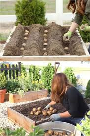 I cut out a couple of options of fonts and sizes to get an idea of how i wanted it to look. Grow Potatoes In Containers Bags 8 Best Secrets A Piece Of Rainbow