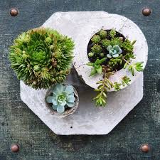 Der einsatz von beton im garten wird immer beliebter. Die Schonsten Ideen Fur Den Garten Die Gartengestaltung