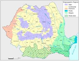 Sustainability Free Full Text On The Biogeographical Significance Of Protected Forest Areas In Southern Romania Html