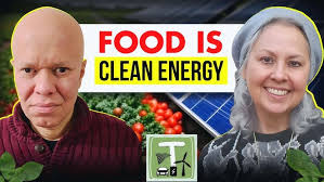 The Psychology of Clean Energy: How YOU Can Make a Difference (w/ Dr. Karen  Hamann)