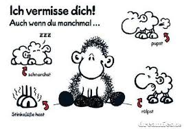 Sascha Grammel Spruche In 2020 Vermisse Dich Gute Besserung Spruche Spruche
