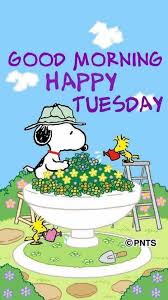Please feel free to get in touch if you can't find the snoopy thursday clipart your looking for. Good Morning Tuesday Snoopy Images Pestcare Jakarta