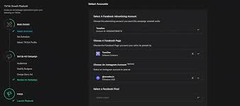 How To Create The Tiktok Growth Playbook Campaign Toneden Knowledge