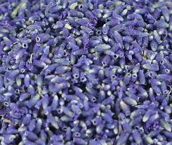 Check spelling or type a new query. Lavender Flowers Bulk China Trade Buy China Direct From Lavender Flowers Bulk Factories At Alibaba Com