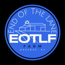 Abe Haislop (@a_buckeye_n_bluegrass) • Instagram photos and videos