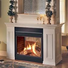 Are You Planning To Build A Fireplace In The Living Room Visit This Website I Hope It Can Help You Gas Fireplace Napoleon Fireplace Napoleon Gas Fireplace