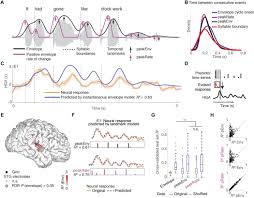 Highly compressed speech in catalan or in spanish can. A Speech Envelope Landmark For Syllable Encoding In Human Superior Temporal Gyrus Science Advances
