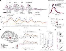 Find related sample code snippets in about the speech sdk audio input stream api. A Speech Envelope Landmark For Syllable Encoding In Human Superior Temporal Gyrus Science Advances