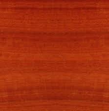 That heavy wood is no joke. Red Gum Eucalyptus Camaldulensis Engraving