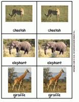 zoo animal safari chart a to z teacher stuff printable