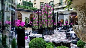 French Restaurant In Paris L Orangerie At Four Seasons George V Luxury Hotels Paris Paris Restaurants Four Seasons Hotel