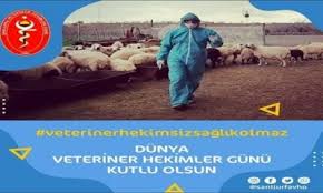 Veteriner hekimlik mesleğinin öneminin toplum tarafından yeterince anlaşılması için dünya veteriner hekimleri birliği her yıl nisan ayının son cumartesi gününü dünya veteriner hekimler günü olarak. Ihyf7onookqfxm