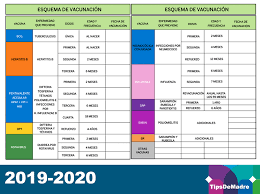 Este calendario de vacunas recomendadas puede variar según su lugar de residencia, la salud de su hijo, el tipo de vacuna y las vacunas el espray nasal solo es para personas sanas de entre 2 a 49 años de edad. Calendario De Vacunacion Mexico Tips De Madre