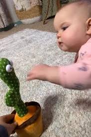 Marcus le Cactus qui répète : Voici ce bébé qui a une discussion très