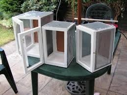 Bug Nation View Topic Cages Butterfly Habitat Stick Insect Monarch Butterfly Garden