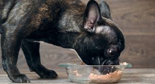 On march 2, 2017, evanger's dog & cat food of wheeling, illinois, has voluntarily recalled specific lots of its hunk of this recall affected the dave's simply the best dog food with a best by date of october 15, 2016. Recall Alert Multiple Dogs Reported Ill After Eating This Canned Dog Food