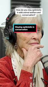 Staying Optimistic in Wildlife Conservation