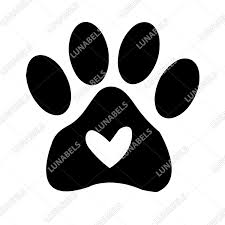 Pin On Svg