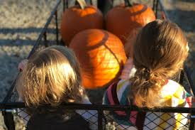 We did not find results for: Guide To Rochester Mn Area Apple Orchards Pumpkin Patches More