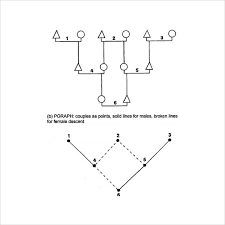 Sample Kinship Diagram Template 9 Free Documents In Pdf Word