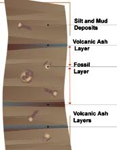 Multimedia Gallery Discovering Lucy Revisited Image 4 Nsf National Science Foundation Volcanic ash particles have a wide distribution of shapes and sizes, which complicates quantitative retrievals. discovering lucy revisited image