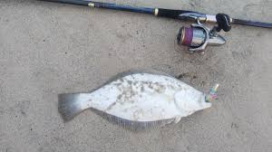 岩手 県 釣り ブログ