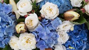 Sep 29, 2013 · president carter's commission on mental health issued its 1978 report and recommended doing more of the same things—more cmhcs, more prevention of mental illness, and more federal spending. 5 Ways That Flowers Can Improve Your Mental Wellbeing Bloom College