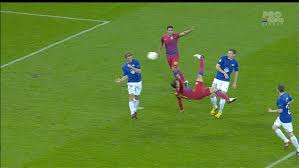 Image result for fotbal foarfeca