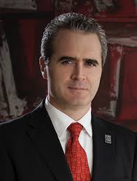 Estructura directiva