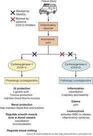 Nfsc 352_cellular And Physiological Response To Injury The