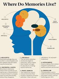 Where Do Memories Live In 2020 Emotional Weight General Knowledge Memories