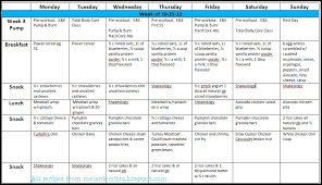 exercise body temperature 4 week meal plan for weight loss