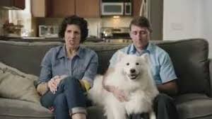Maybe you would like to learn more about one of these? Farmers Pet Insurance Avoid The Shock Youtube