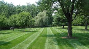 We have 338 reviews from customers in athens and a 4.89 / 5 ave All Terrain Lawn Service All Terrain Lawn Service