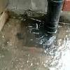 Feed the snake into the drain. 1