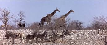 But there are such amazing videos that i like on the internet, i wanted to bring them all together in this archive, especially for my son sean to watch. Beautiful People 1974 Imdb