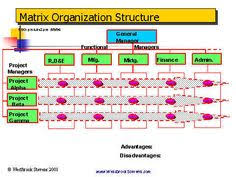 15 Best It Organizational Structure Images Organizational