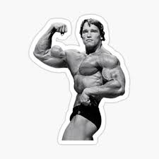 Wann wurde arnold schwarzenegger geboren ? Sticker Arnold Schwarzenegger Redbubble
