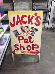 Match made on care.com every 3 minutes, so find your perfect pet care provider today. Jack S Pet Shop Posts Facebook