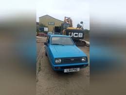 Image result for Azure Blue 1994 Reliant