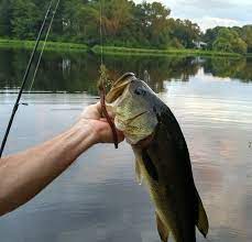 Best Bass Fishing Rods Bass Fishing Rods Bass Fishing Freshwater Fishing