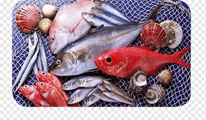 Fish Seafood Atlantic Salmon Fish Food Seafood Animals Png Pngwing Assorted edible fishes, sustainable seafood fish processing salmon, fish, food, animals png. pngwing