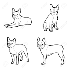 We did not find results for: Boston Terrier Animal Vector Illustration Hand Drawn Cartoon Royalty Free Cliparts Vectors And Stock Illustration Image 133614276