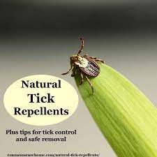 Do to reduce the chances of mosquito bites in our own backyards and gardens. Natural Tick Repellents And Easy Tick Control Tips