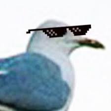 Jun 22, 2021 · commissioners voted to hire crueger dickinson llc of wisconsin, baron & budd of washington d.c. Seagle On Twitter When My Team Rushes B And Gets Instakilled And I M The Only One Left Justcsgoshit