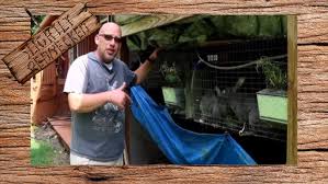 Xylitol can cause seizures and liver failure in your pet. Do Rabbits Need A Salt Lick Or Mineral Lick Youtube